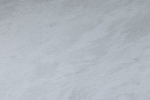 Rhino White