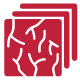 Curated Collection