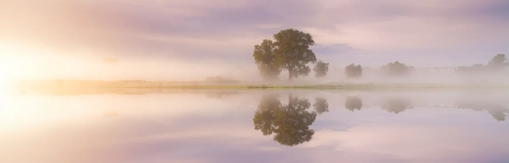 Dreamy Romance