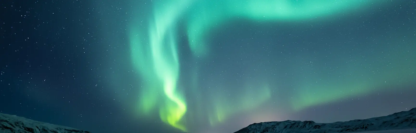 Enchanting Wonder