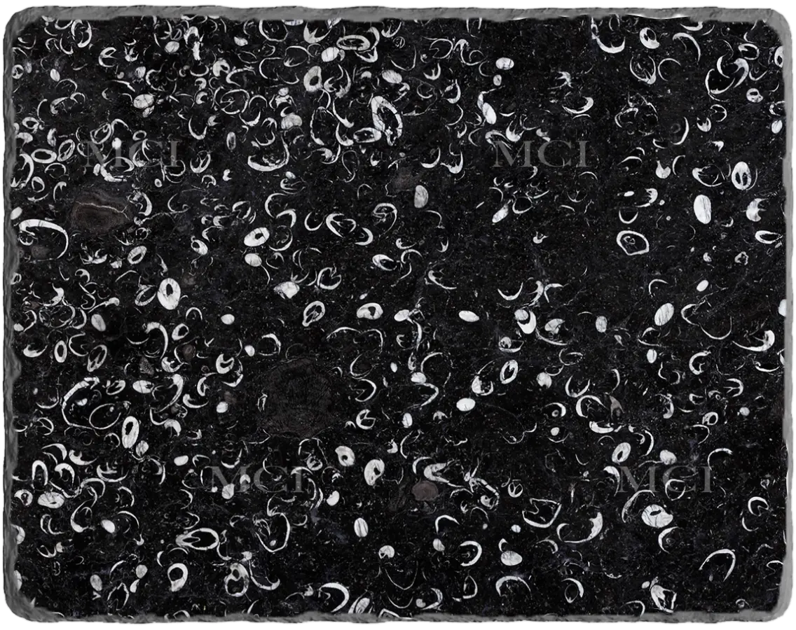 Fossil Black