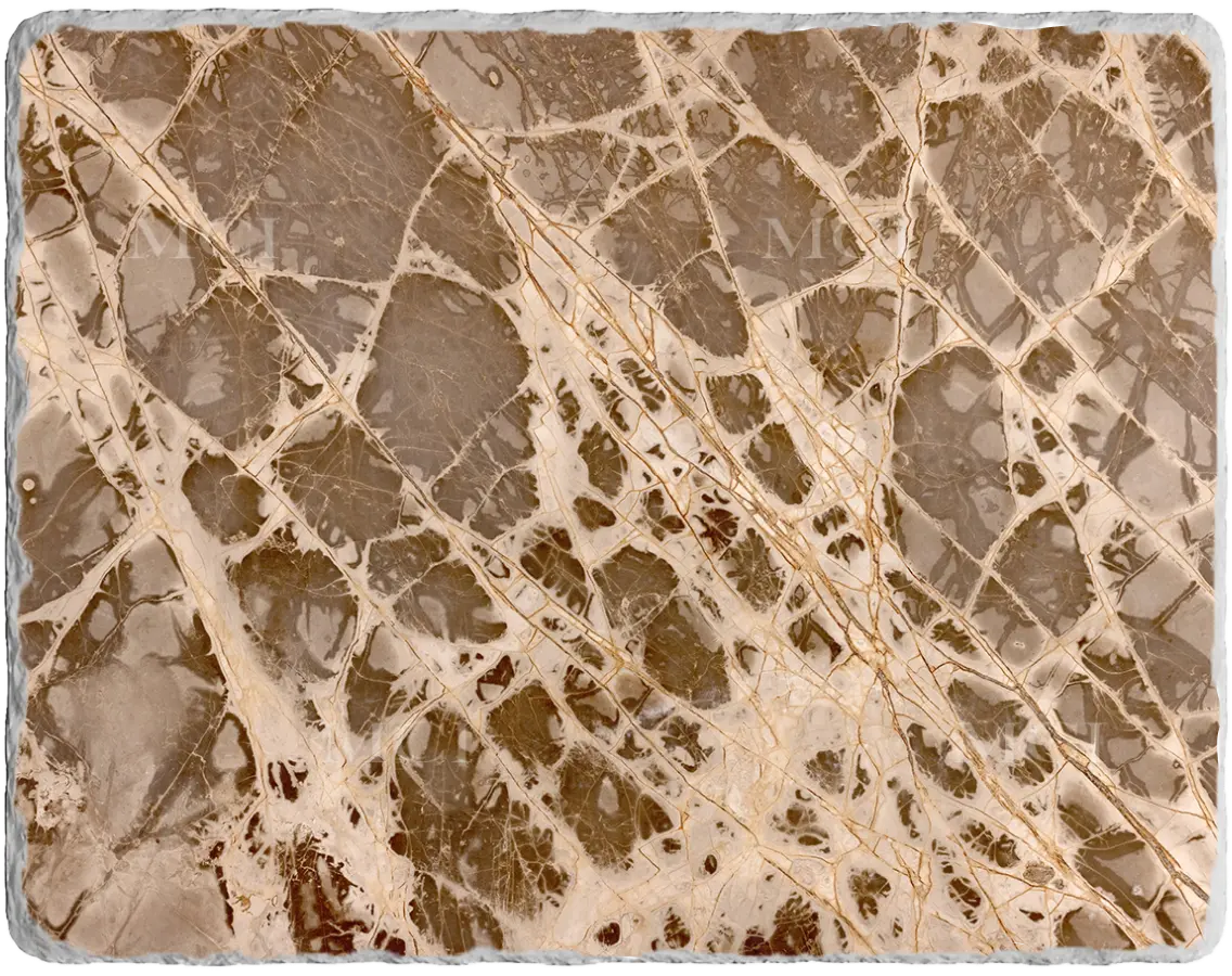 Golden Palm