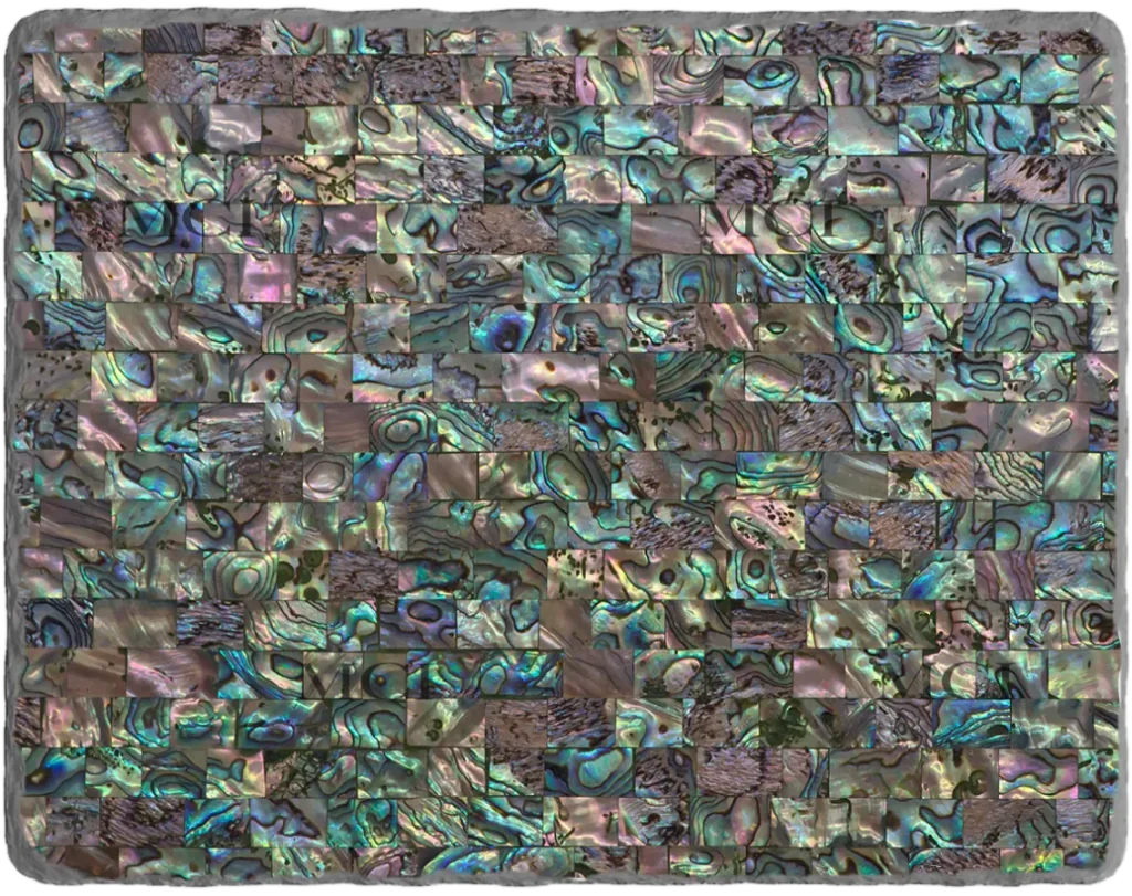 Mother of Pearl Green Abalone