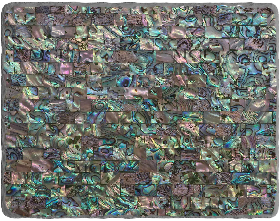 Mother of Pearl Green Abalone