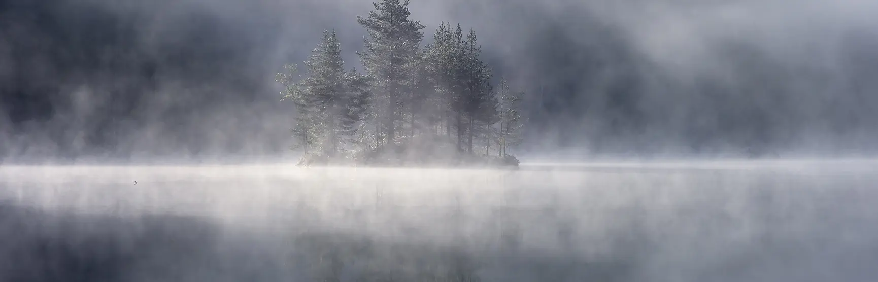 Mystical Allure