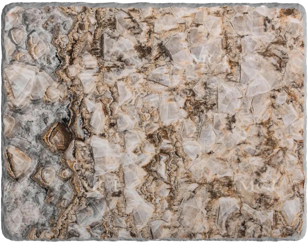 Petrified Wooden Onyx