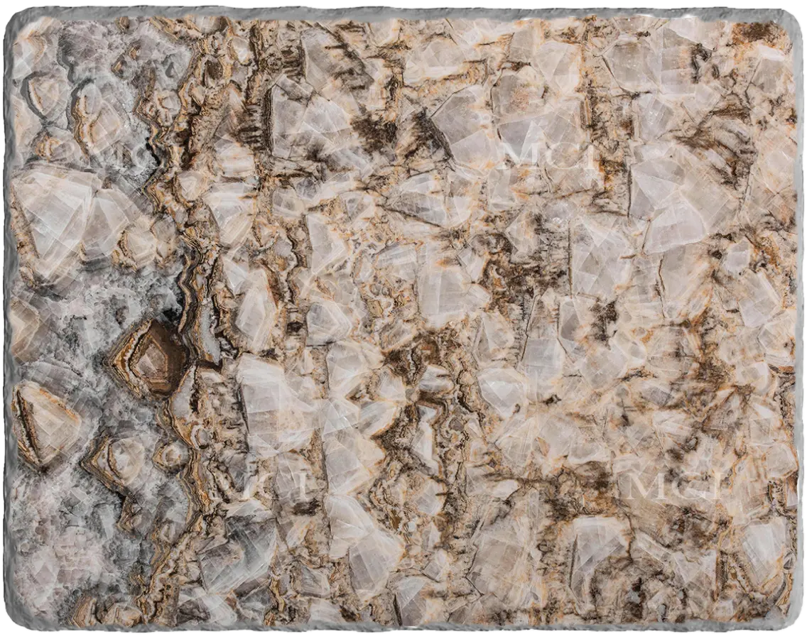 Petrified Wooden Onyx