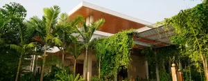 pu-vasal-01