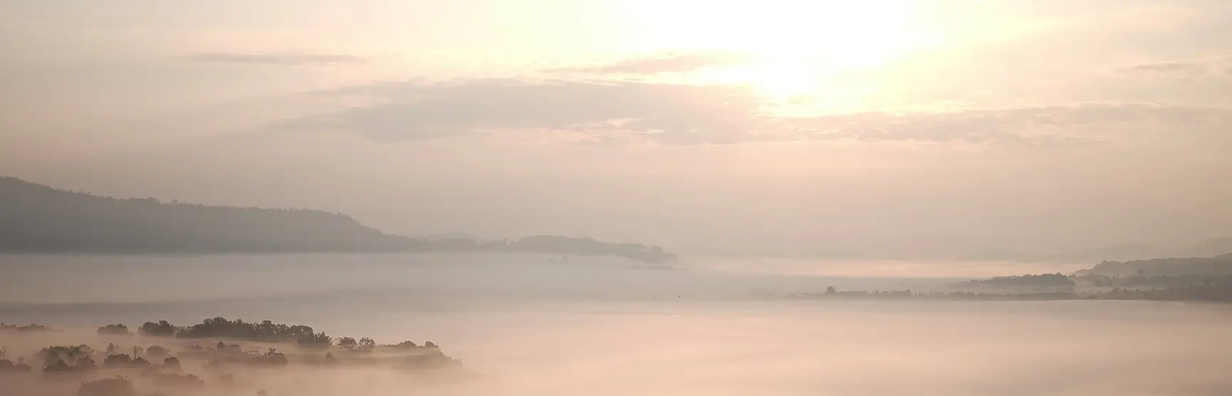 Serene Daydream