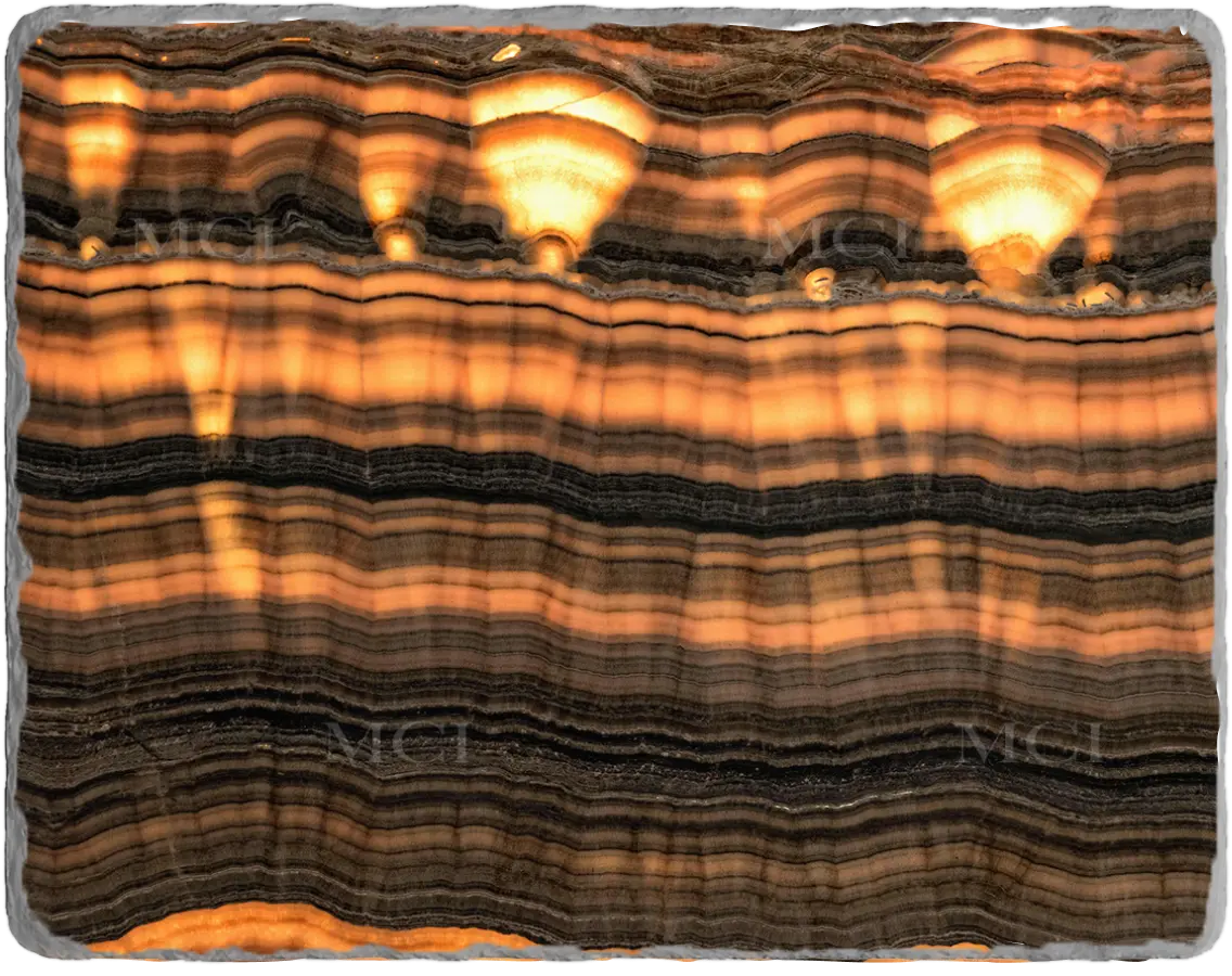 Silver Tiger Onyx (Backlit)