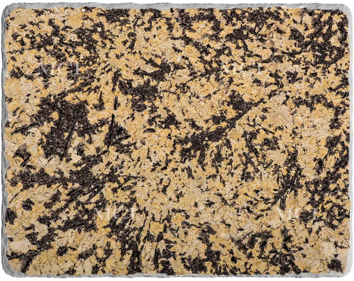 Splendor Gold