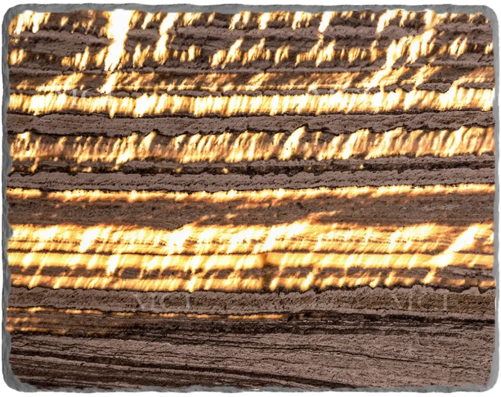 Splendor Onyx (Backlit)
