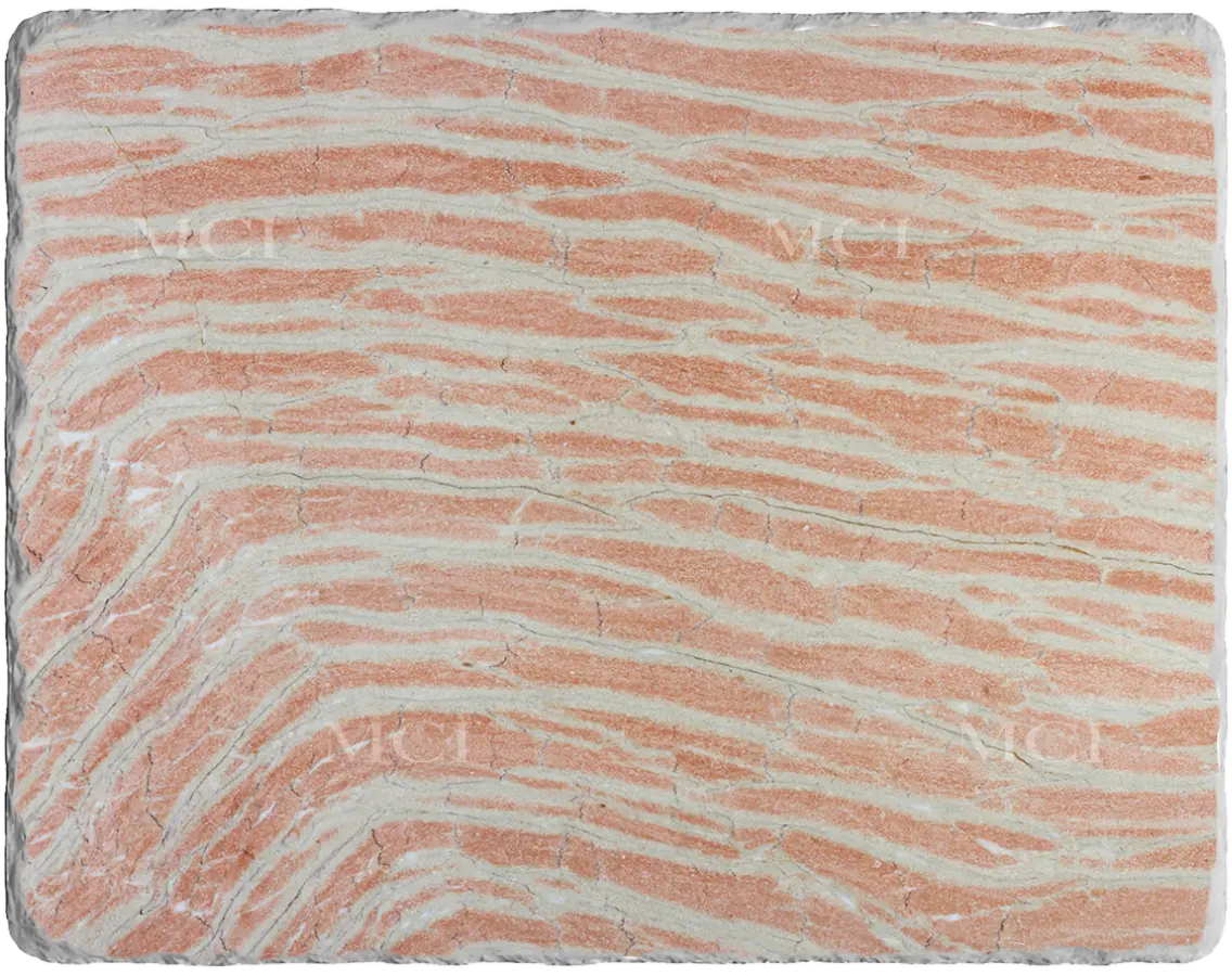 Zebra Pink